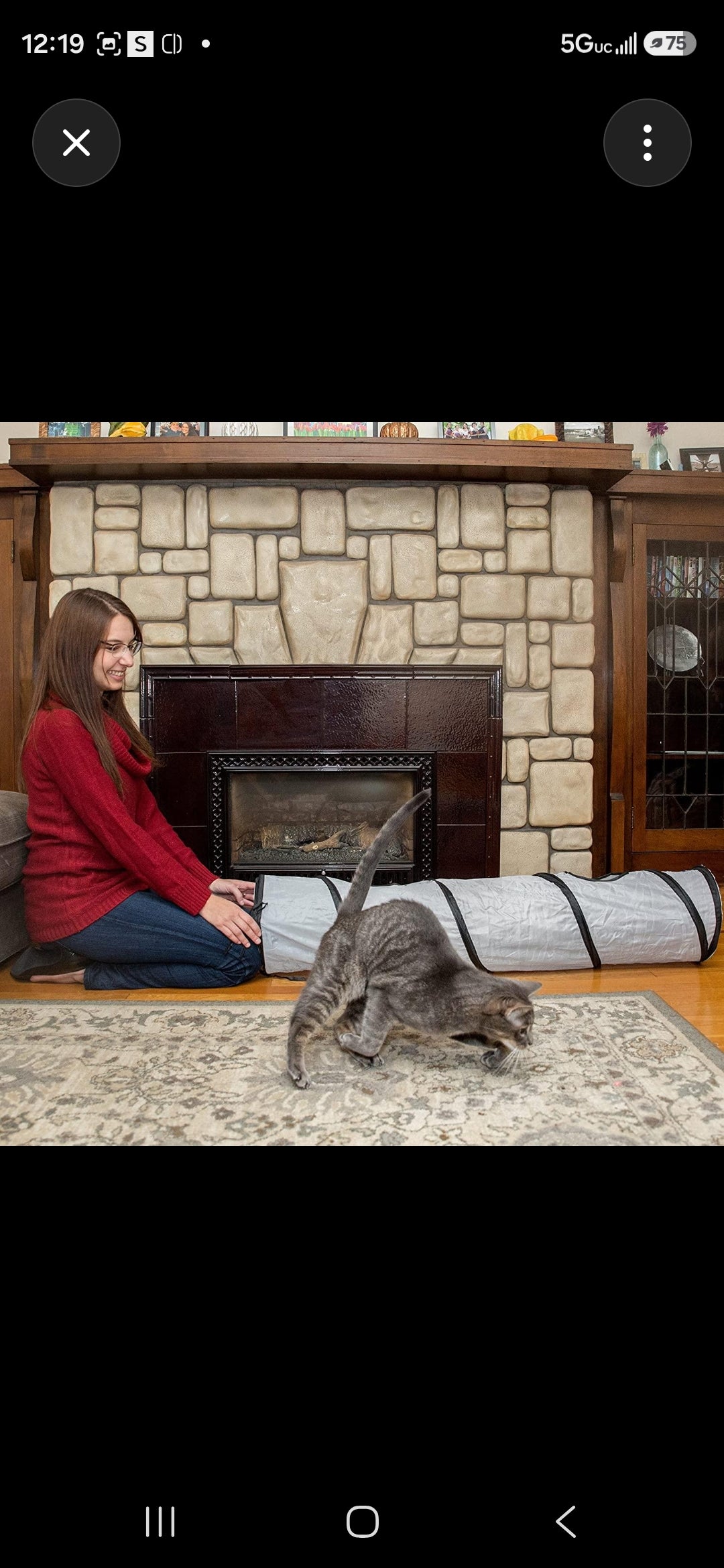 Collapsible Cat Tunnel with Peek Holes & Play Ball